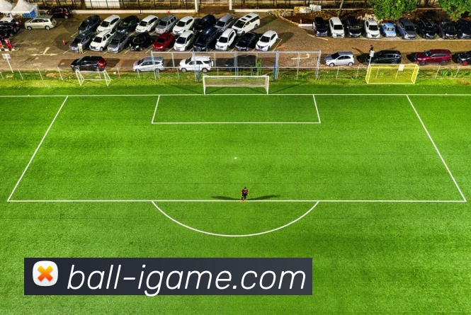 爱游戏平台生态图